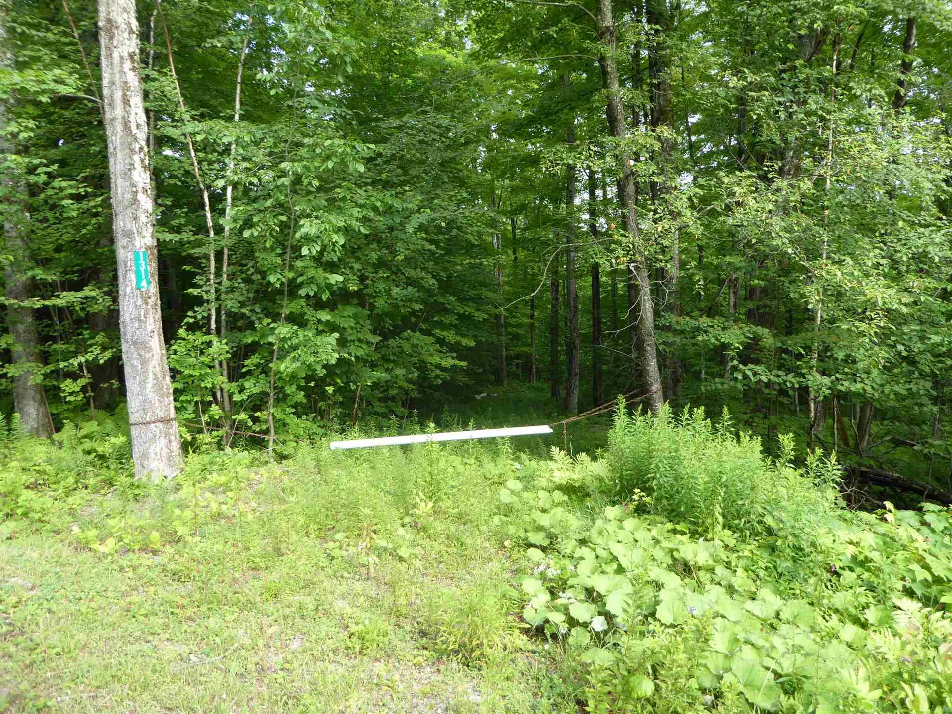 1314 Economou Road Huntington VT 05462