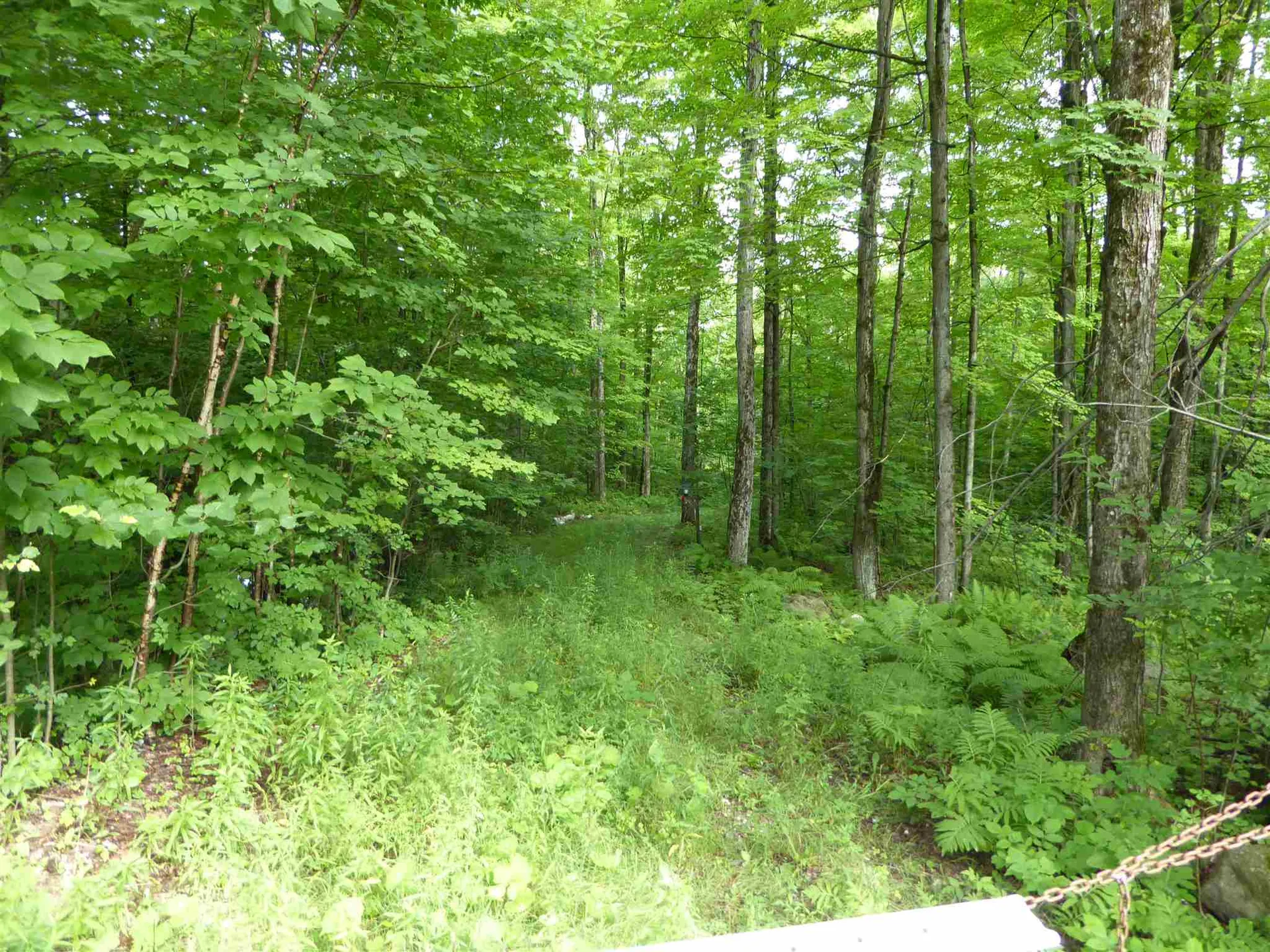 1314 Economou Road Huntington VT 05462