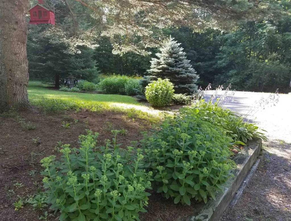 83 Kathy Meyer Road Warren VT 05674