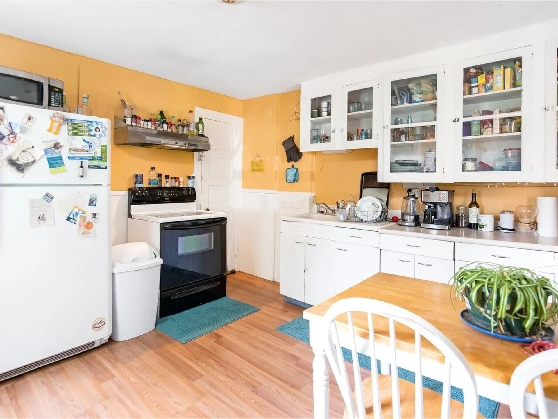 44-46 Charlotte Street Burlington VT 05401-4841