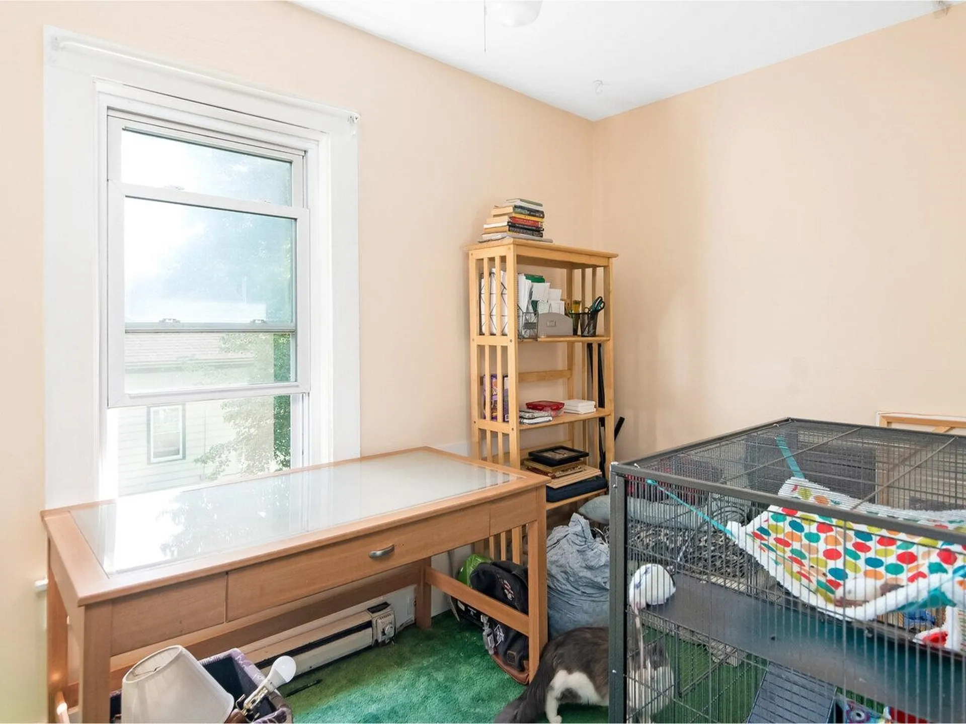 44-46 Charlotte Street Burlington VT 05401-4841