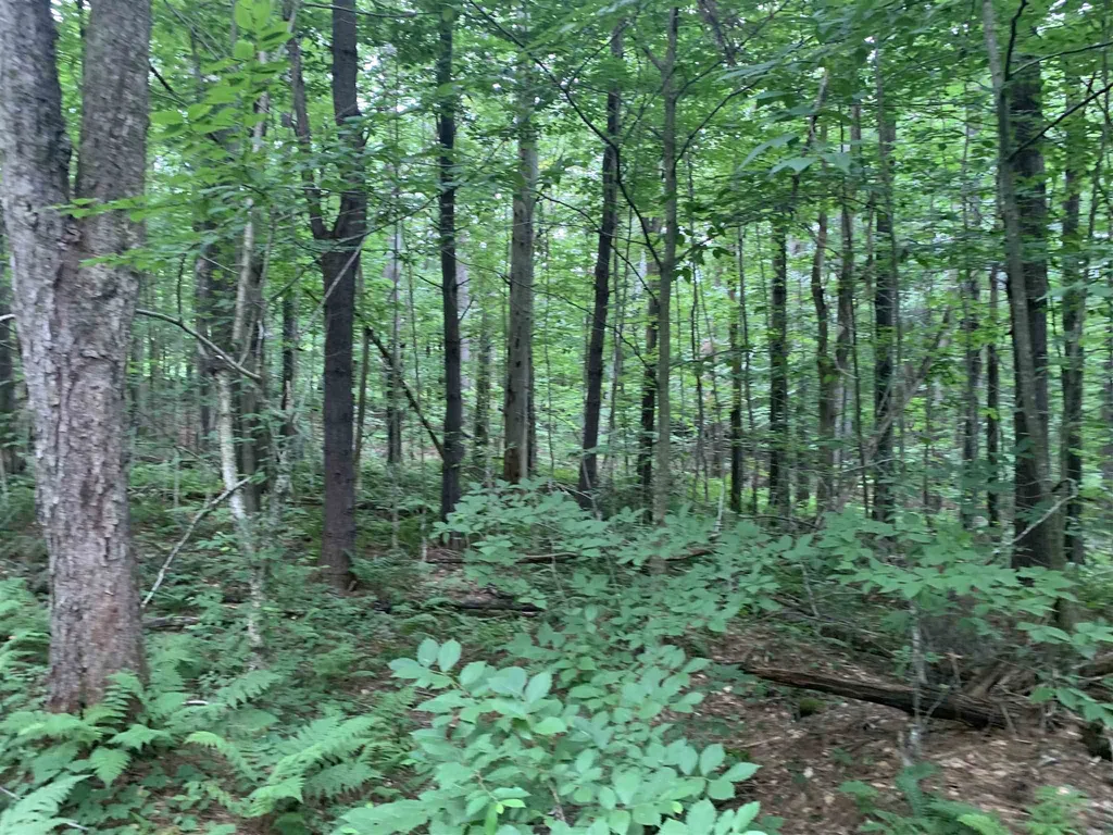 00 Winslow Drive Townshend VT 05353