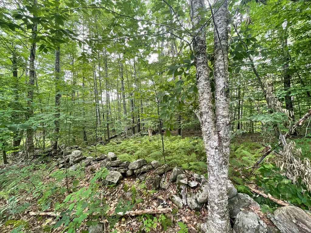 00 Winslow Drive Townshend VT 05353