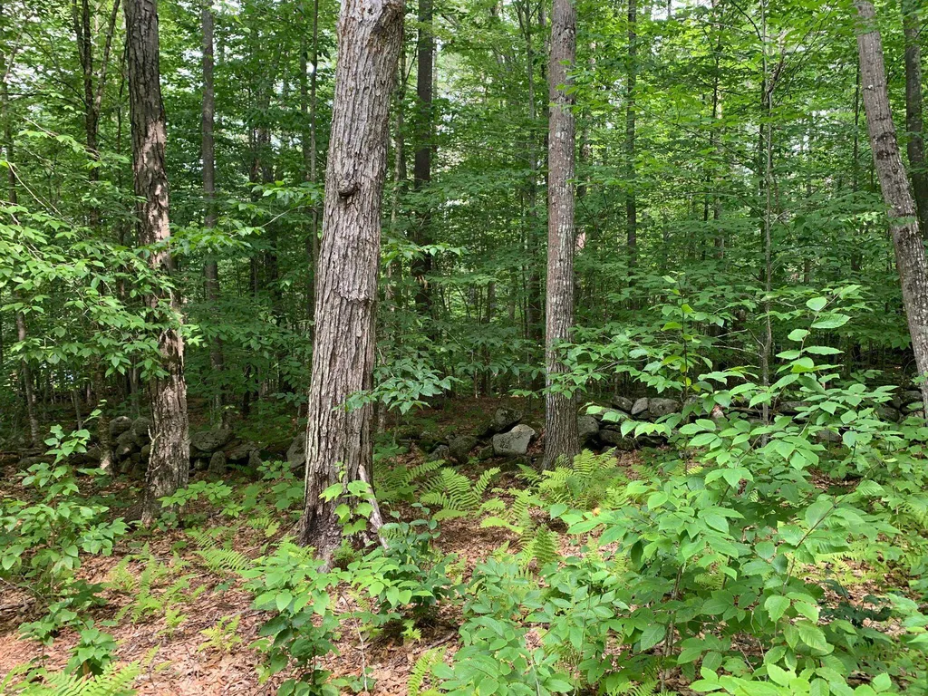 00 Winslow Drive Townshend VT 05353