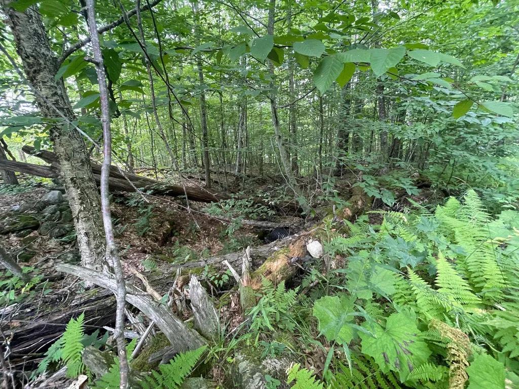 00 Winslow Drive Townshend VT 05353