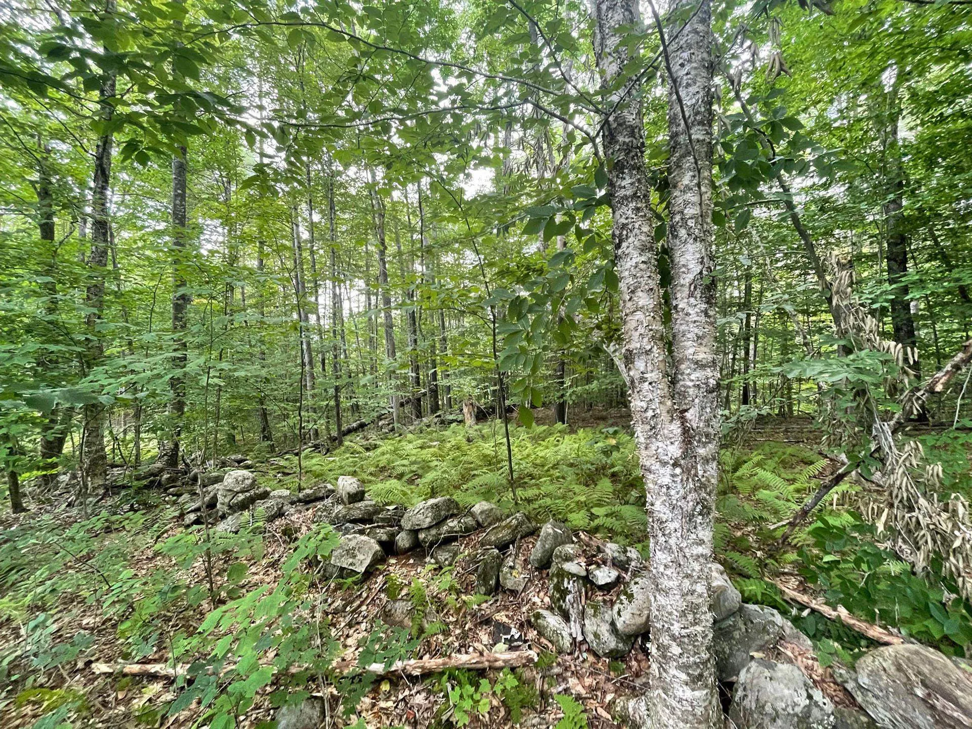 00 Winslow Drive Townshend VT 05353