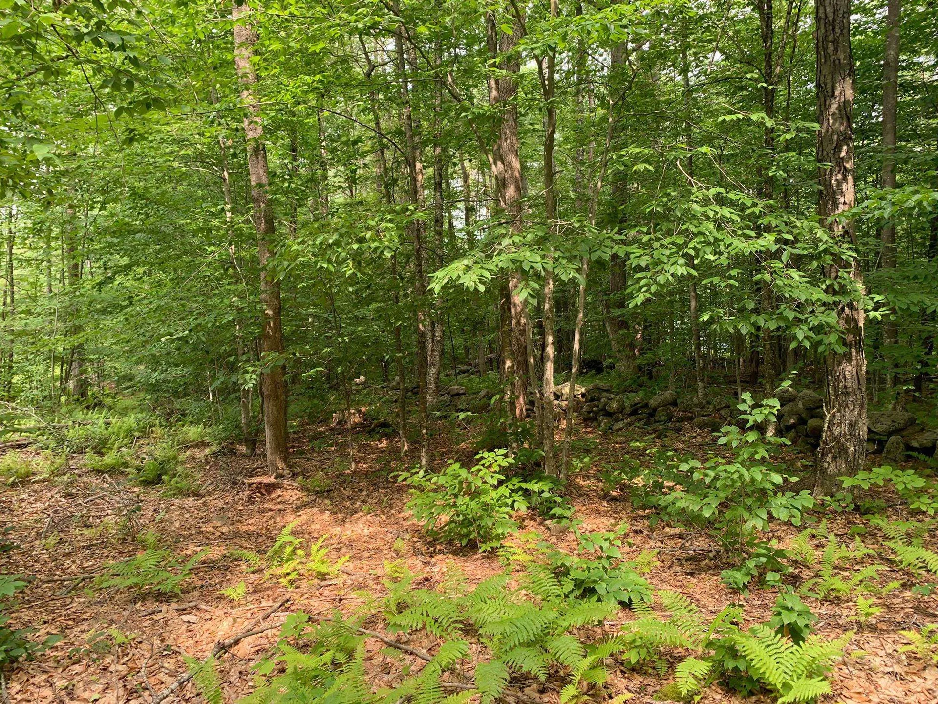 00 Winslow Drive Townshend VT 05353
