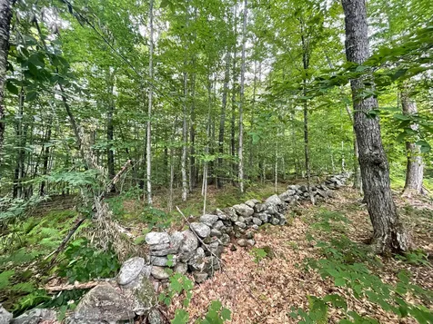 00 Winslow Drive Townshend VT 05353