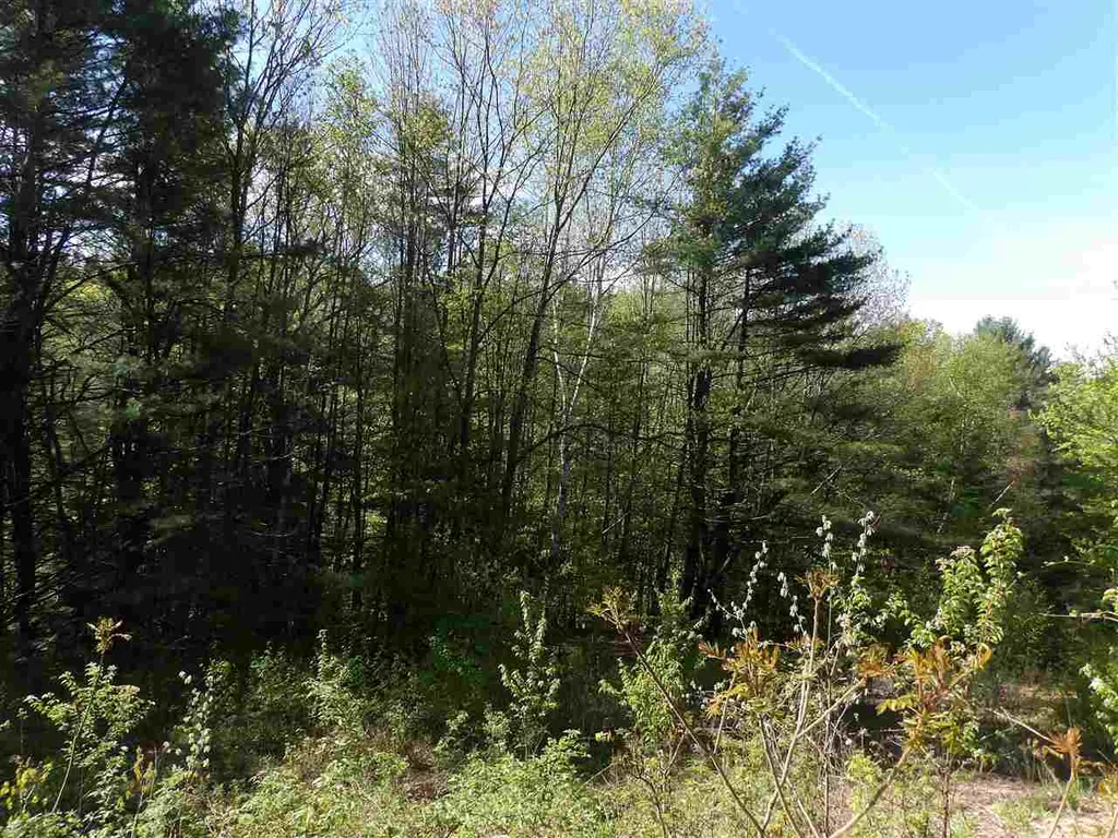 86 Alice Smith Road Walpole NH 03608