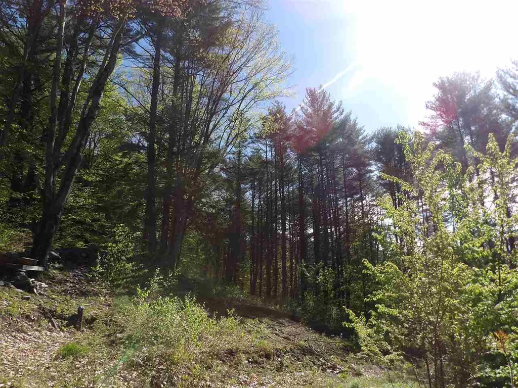 86 Alice Smith Road Walpole NH 03608