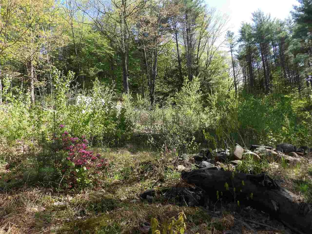 86 Alice Smith Road Walpole NH 03608