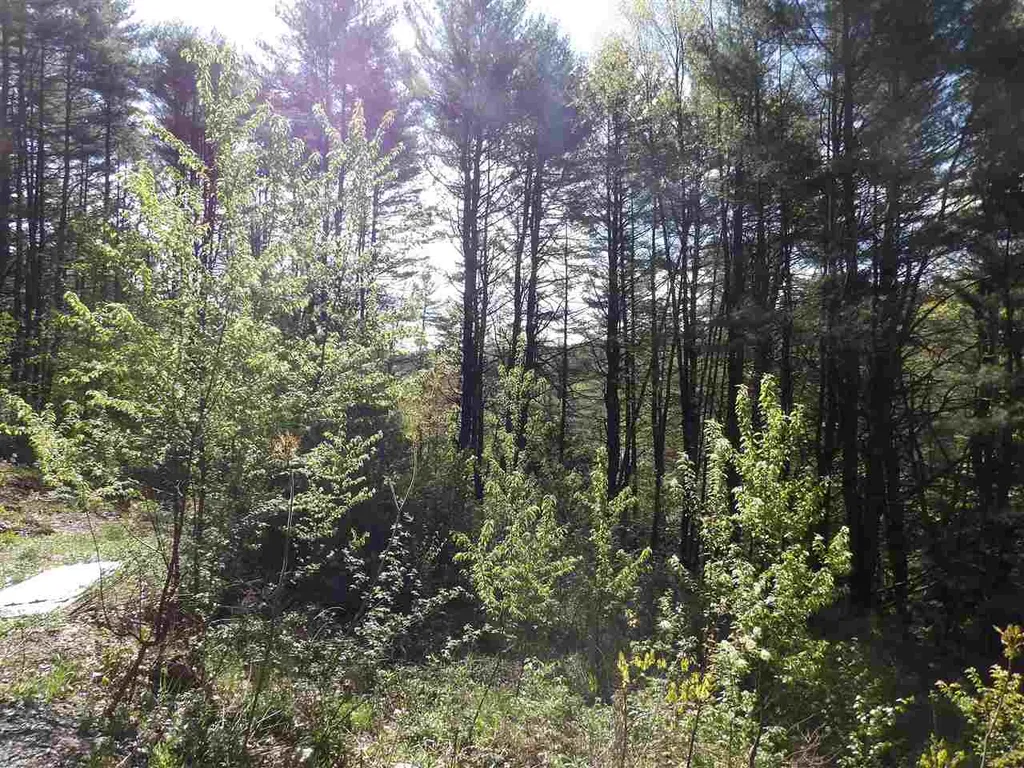 86 Alice Smith Road Walpole NH 03608