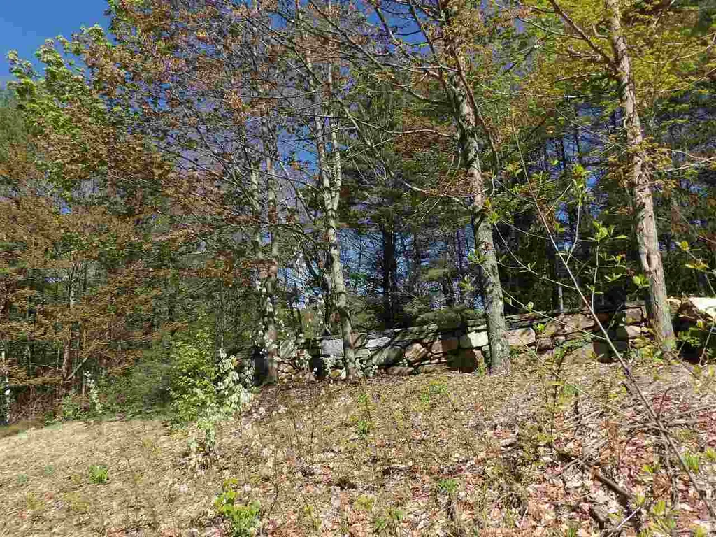 86 Alice Smith Road Walpole NH 03608