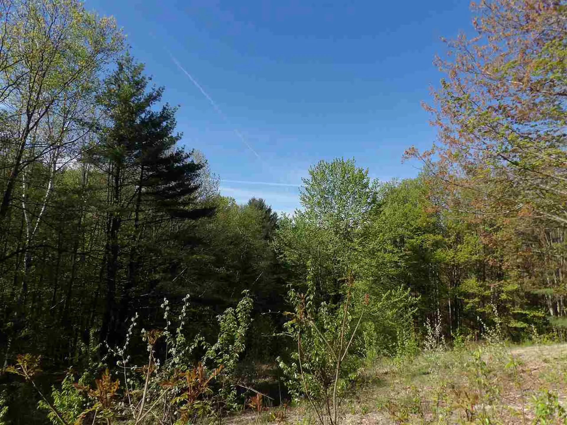 86 Alice Smith Road Walpole NH 03608