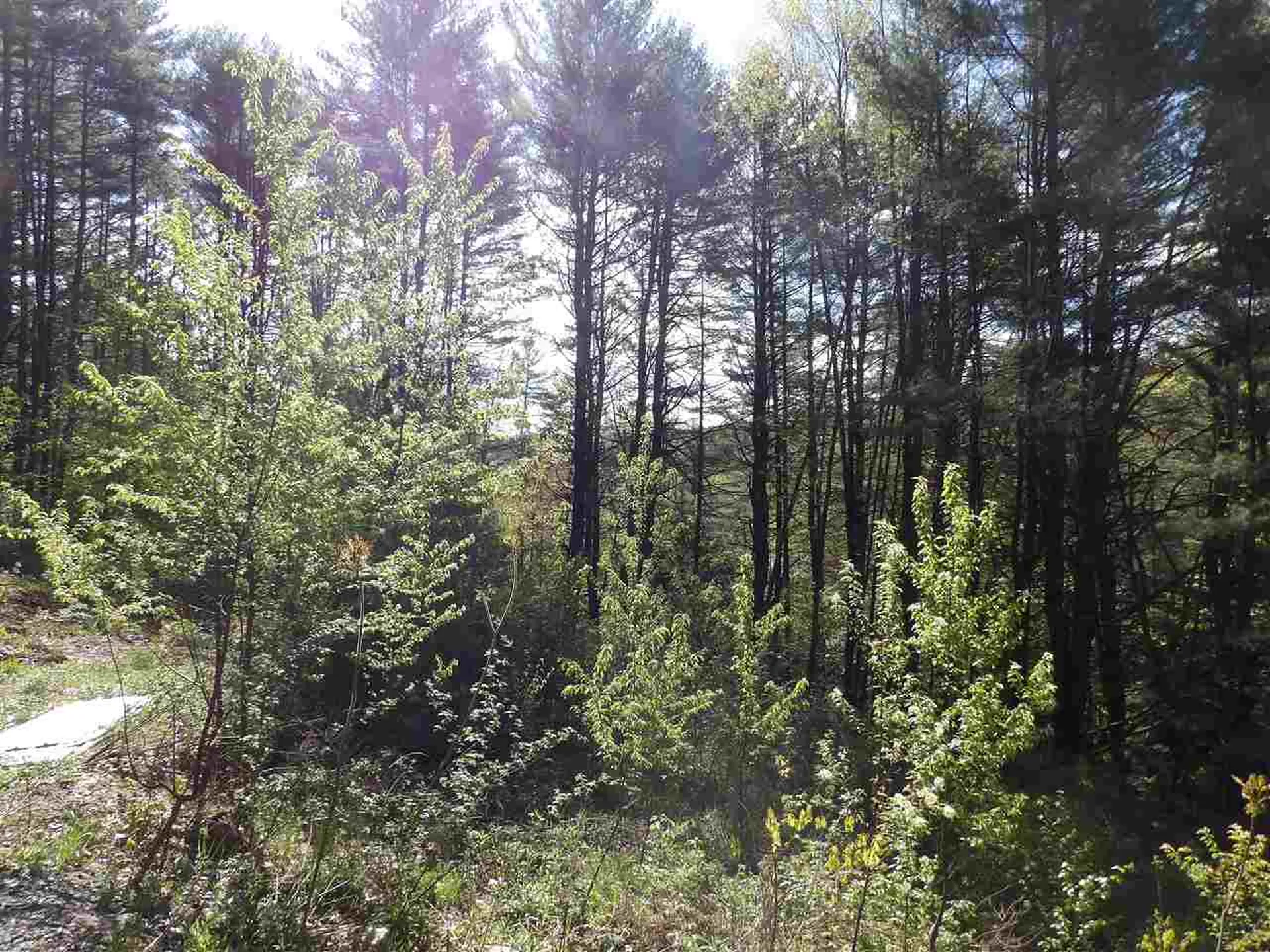 86 Alice Smith Road Walpole NH 03608