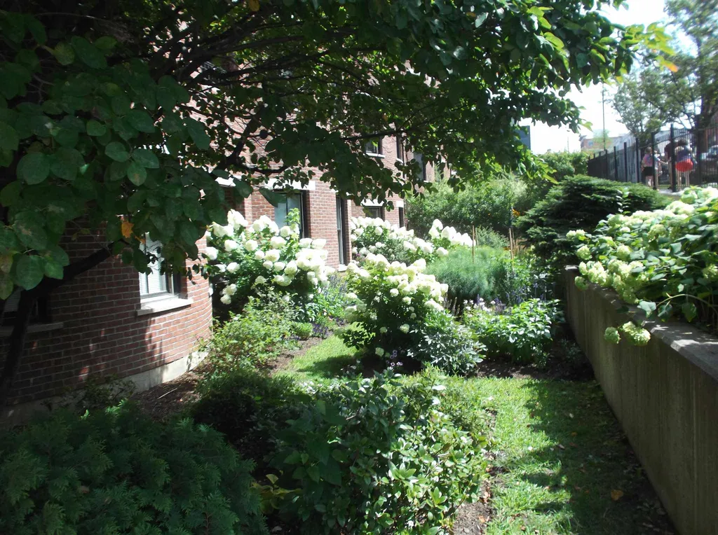 40 College Street Burlington VT 05401
