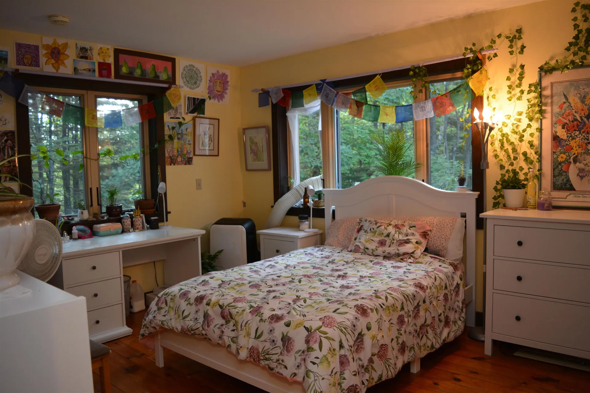 3 Bonnie Brae Grantham NH 03753