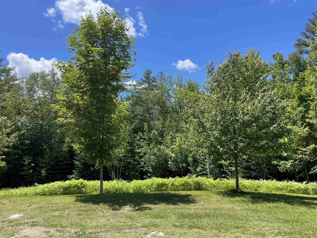 963 Winhall Hollow Road Londonderry VT 05155