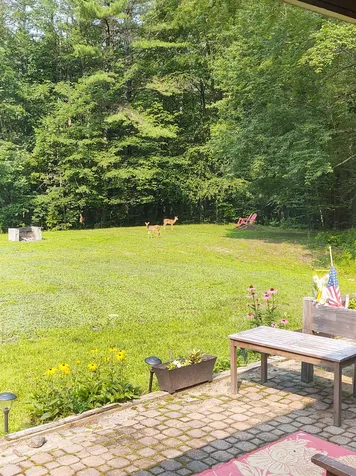 80 Sam Plummer Road Milton NH 03851