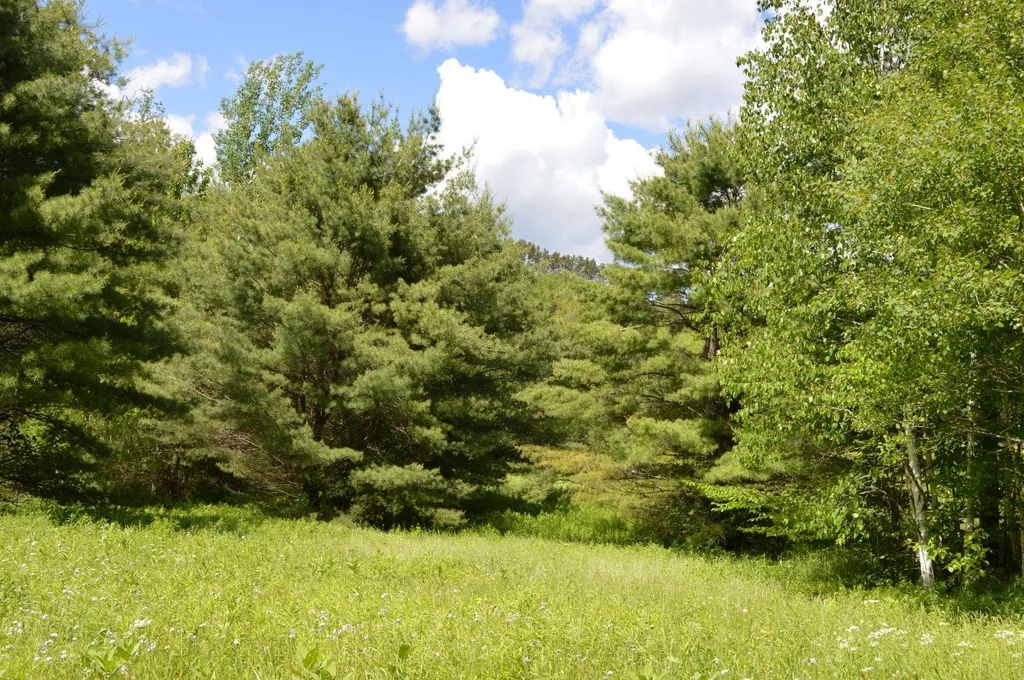 0 Pearl Lake Road Lisbon NH 03585