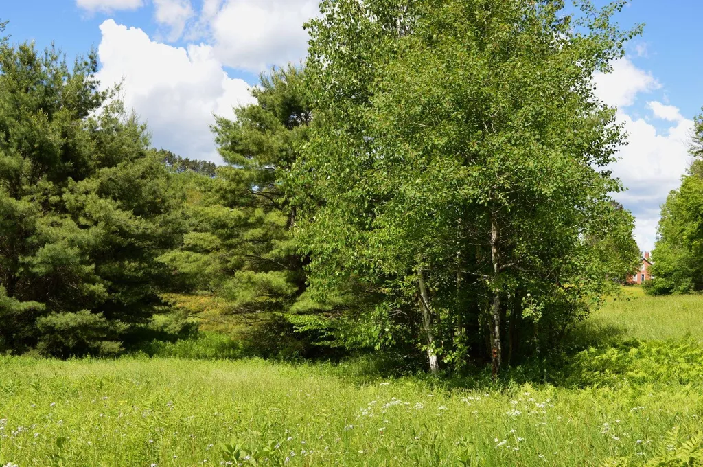 0 Pearl Lake Road Lisbon NH 03585