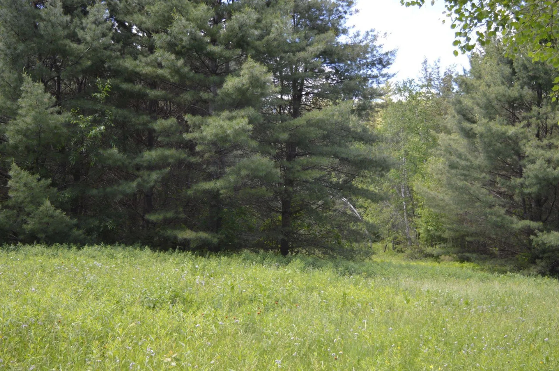 0 Pearl Lake Road Lisbon NH 03585