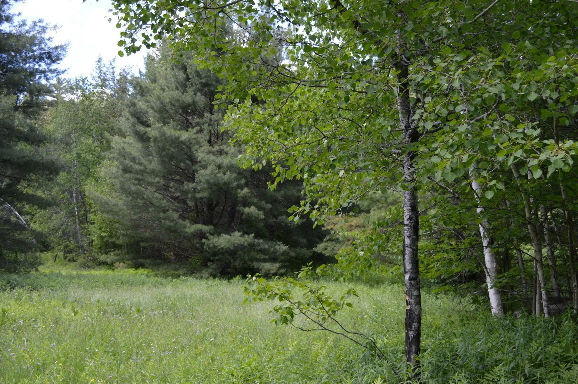 0 Pearl Lake Road Lisbon NH 03585
