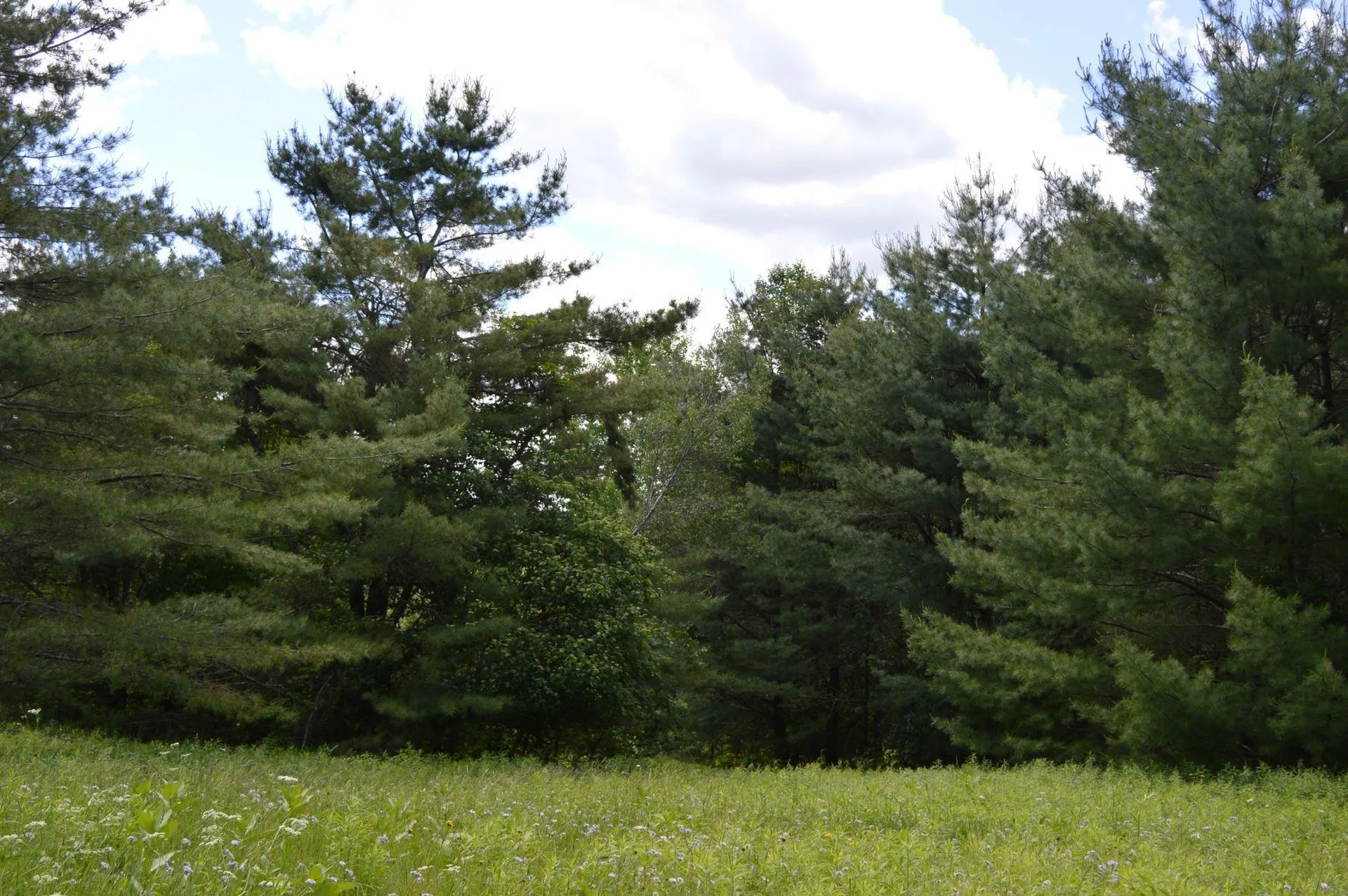 0 Pearl Lake Road Lisbon NH 03585