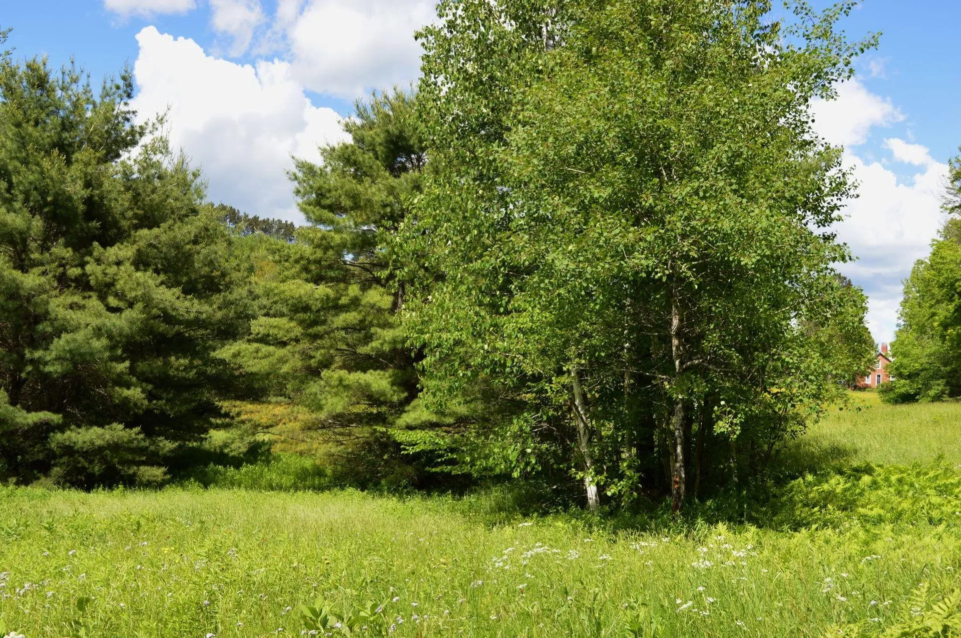 0 Pearl Lake Road Lisbon NH 03585