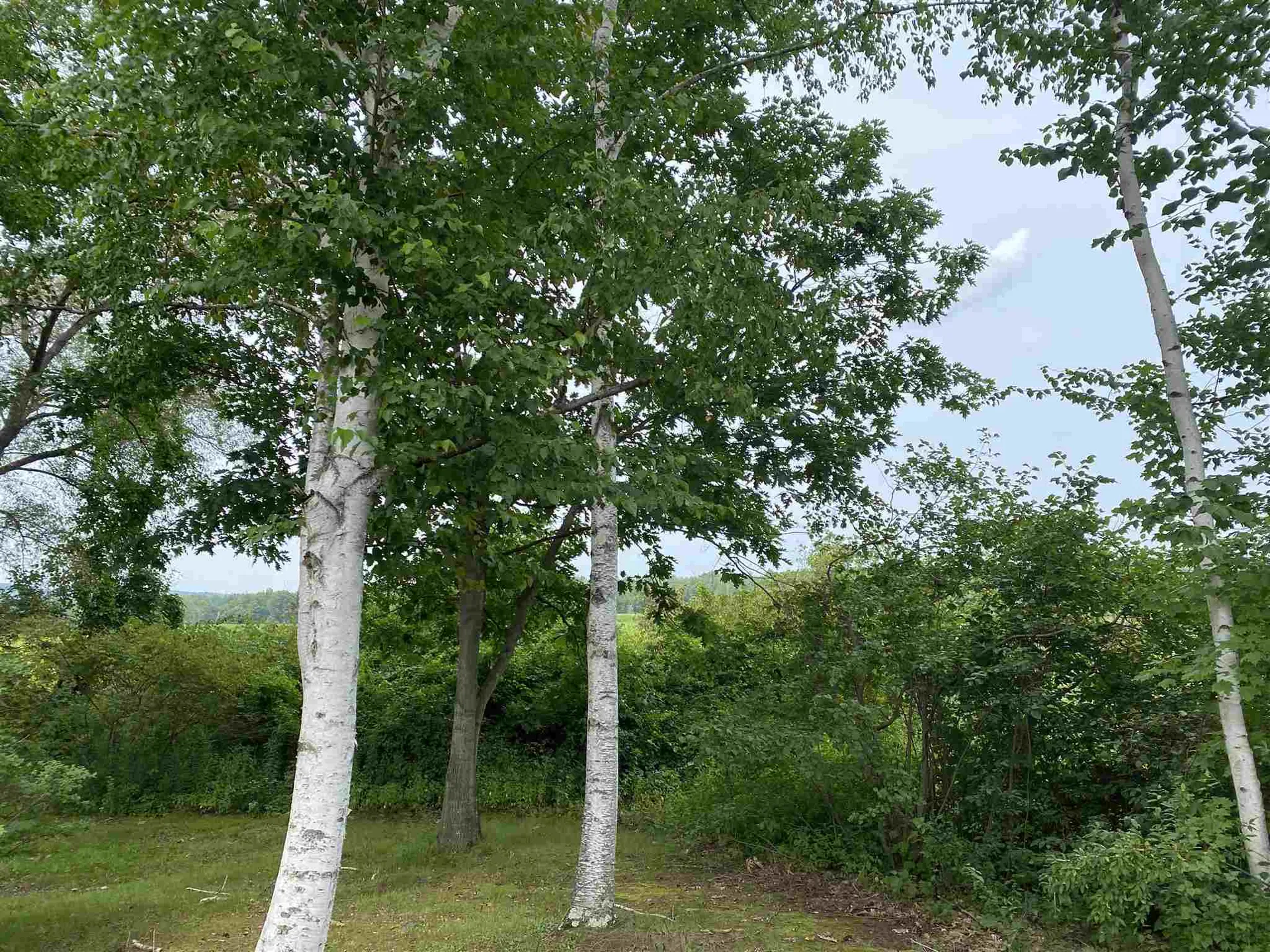 365 Elm Street Milford NH 03055