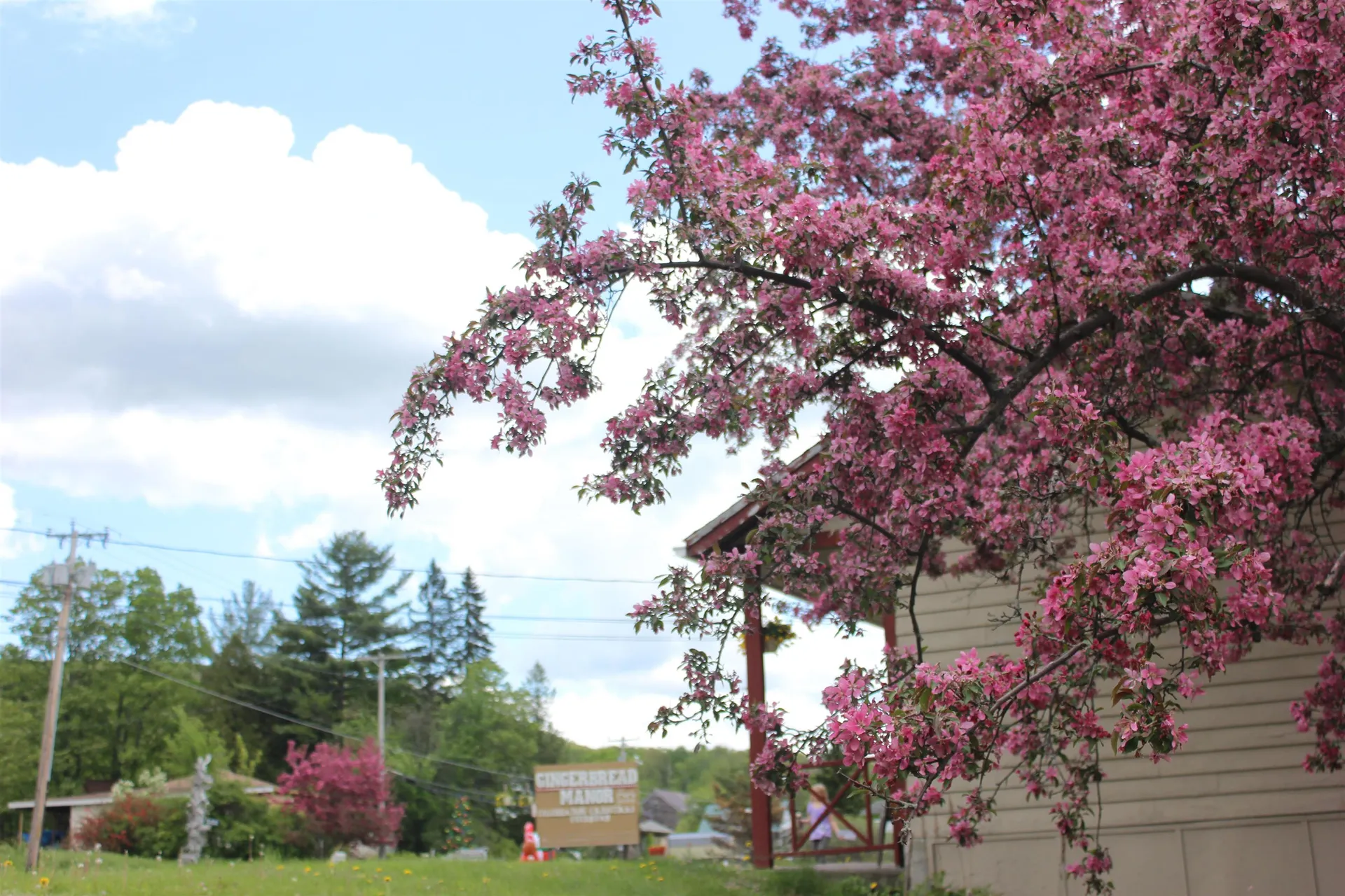 720 Presidential Highway Jefferson NH 03583