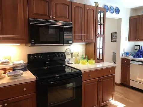29 Abenaukee Drive Wolfeboro NH 03894