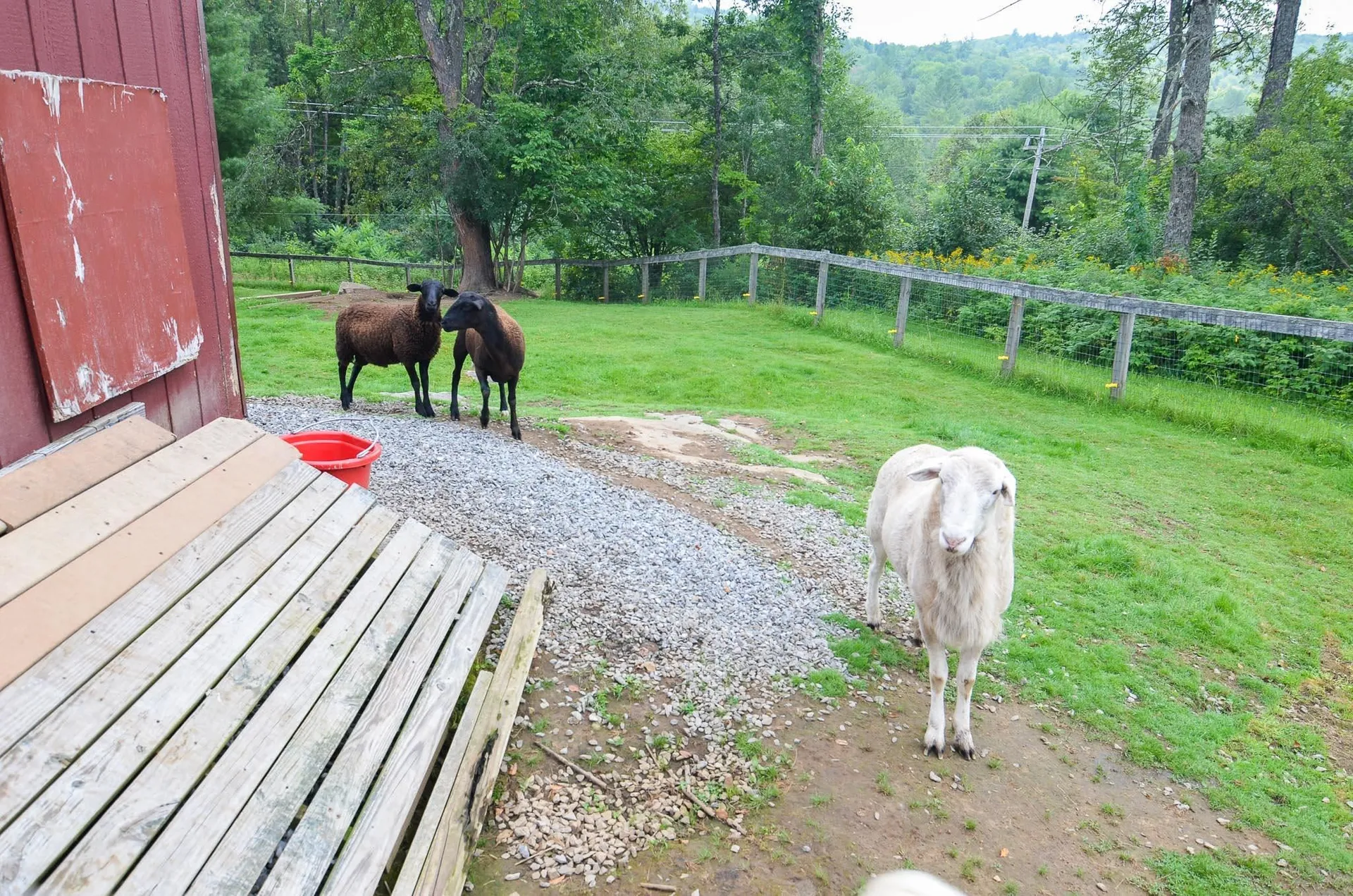 690 Trebo Road Chester VT 05143
