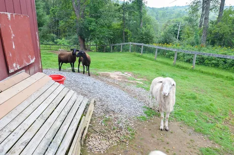 690 Trebo Road Chester VT 05143
