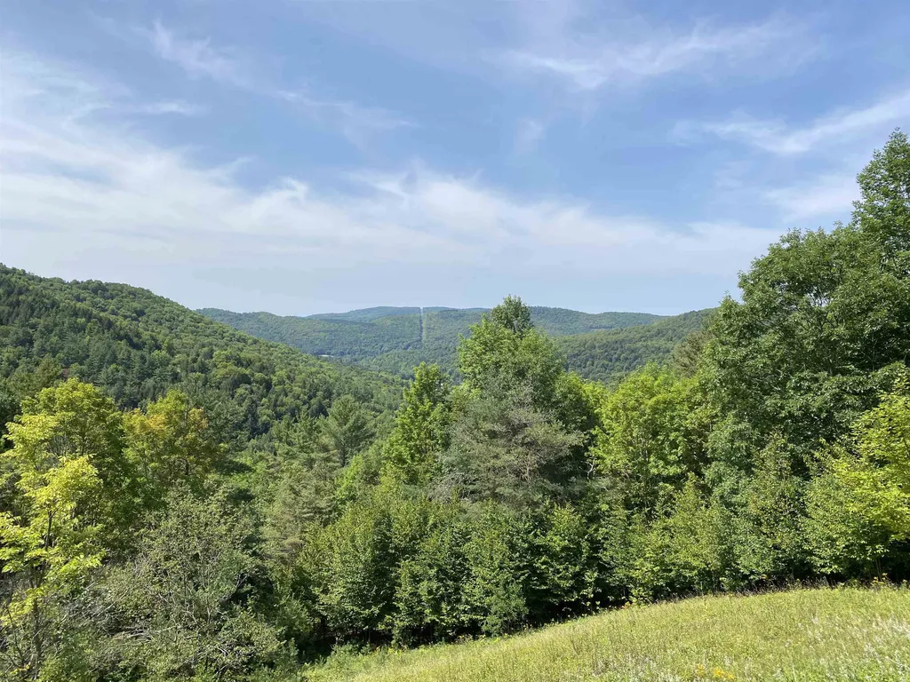 21 Jenkins Brook Road Chelsea VT 05038