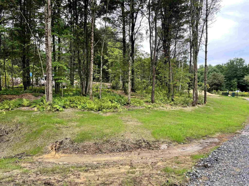 29 Blueberry Lane Jericho VT 05465