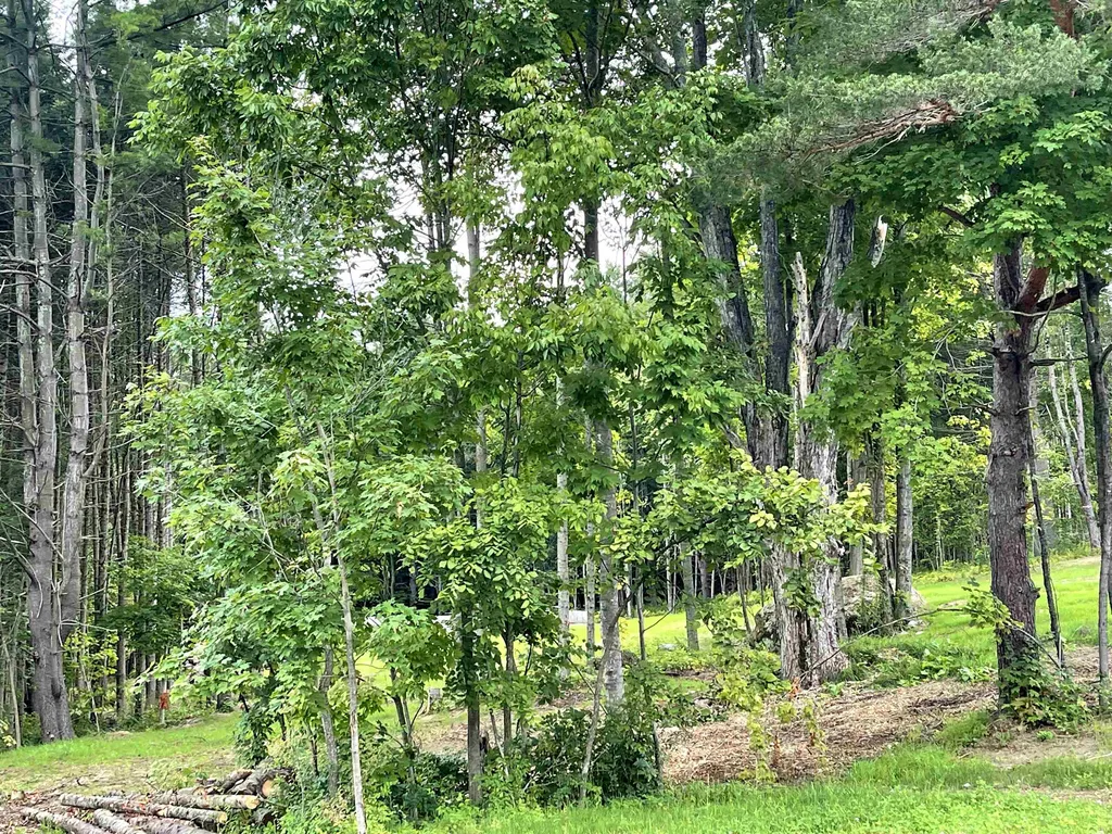 29 Blueberry Lane Jericho VT 05465