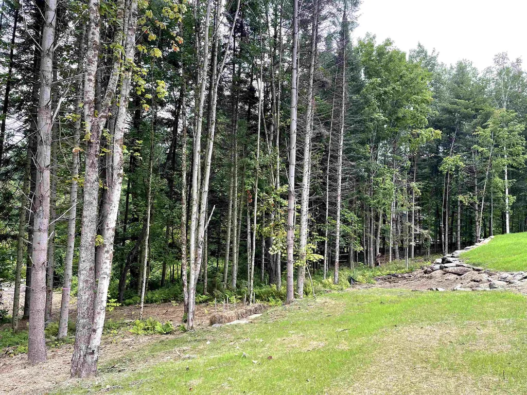 29 Blueberry Lane Jericho VT 05465
