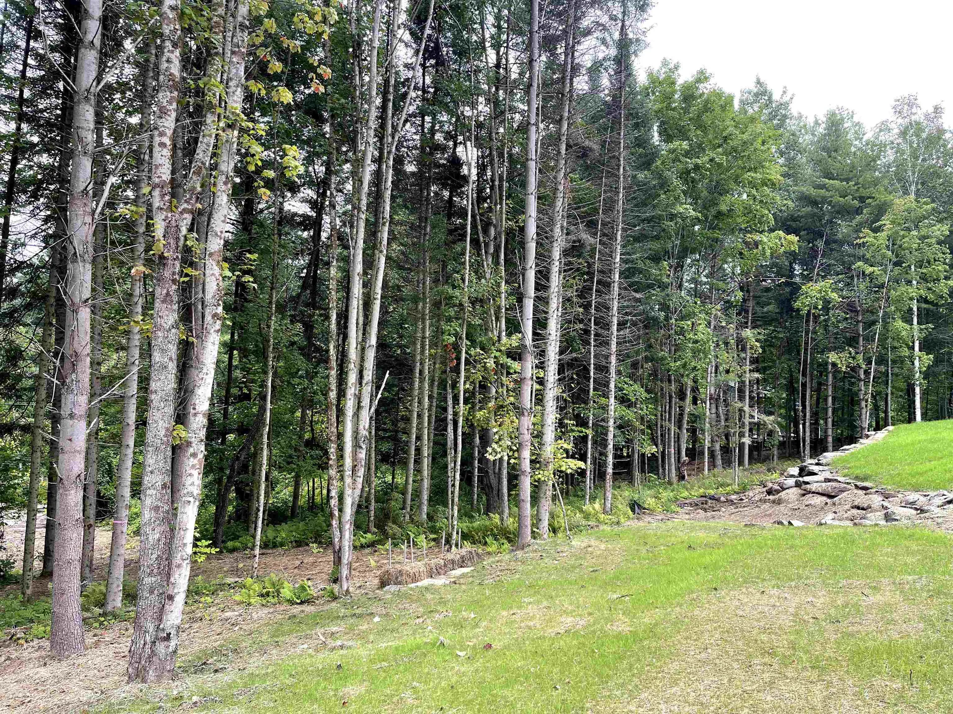 29 Blueberry Lane Jericho VT 05465