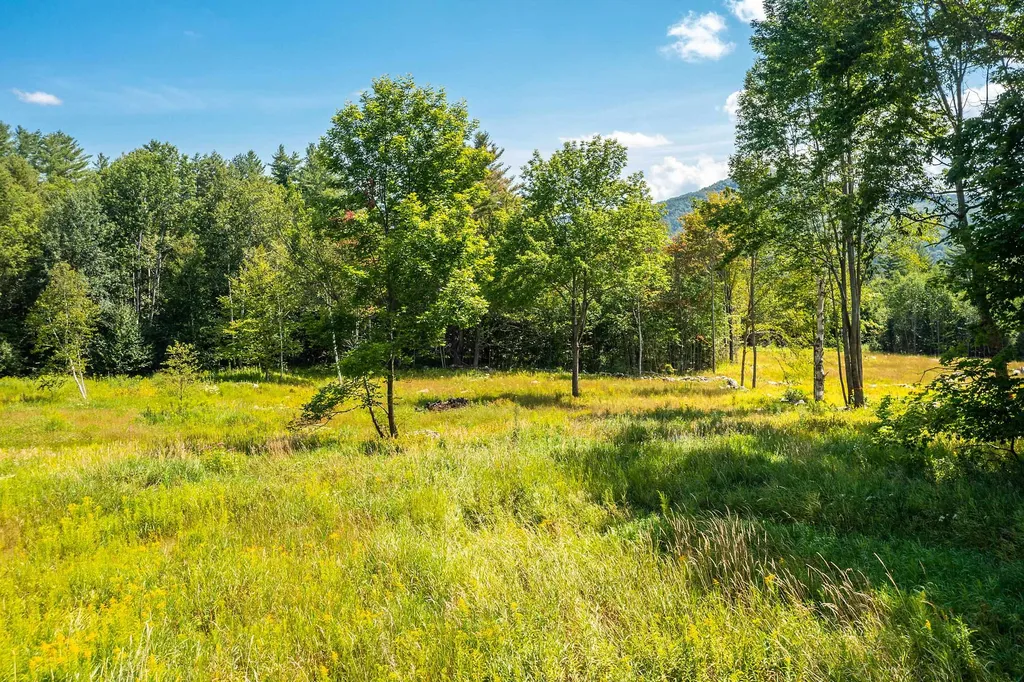 30 Hobart Road Londonderry VT 05148
