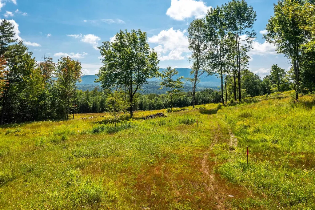 30 Hobart Road Londonderry VT 05148