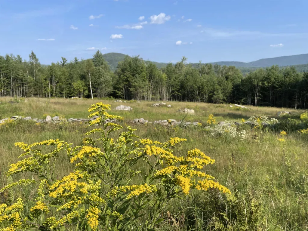 30 Hobart Road Londonderry VT 05148