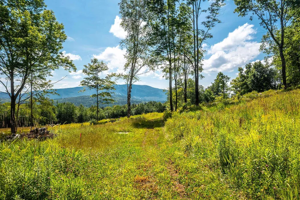 30 Hobart Road Londonderry VT 05148
