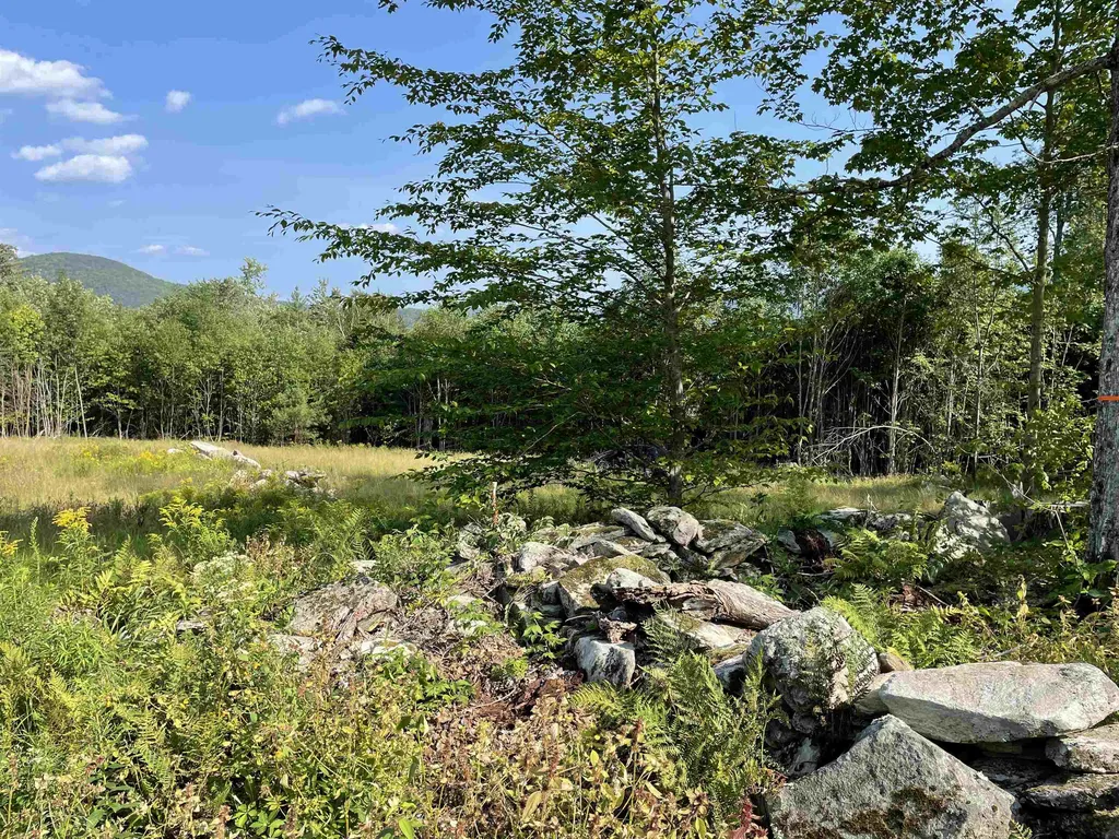30 Hobart Road Londonderry VT 05148