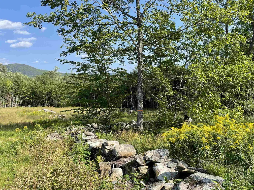 30 Hobart Road Londonderry VT 05148