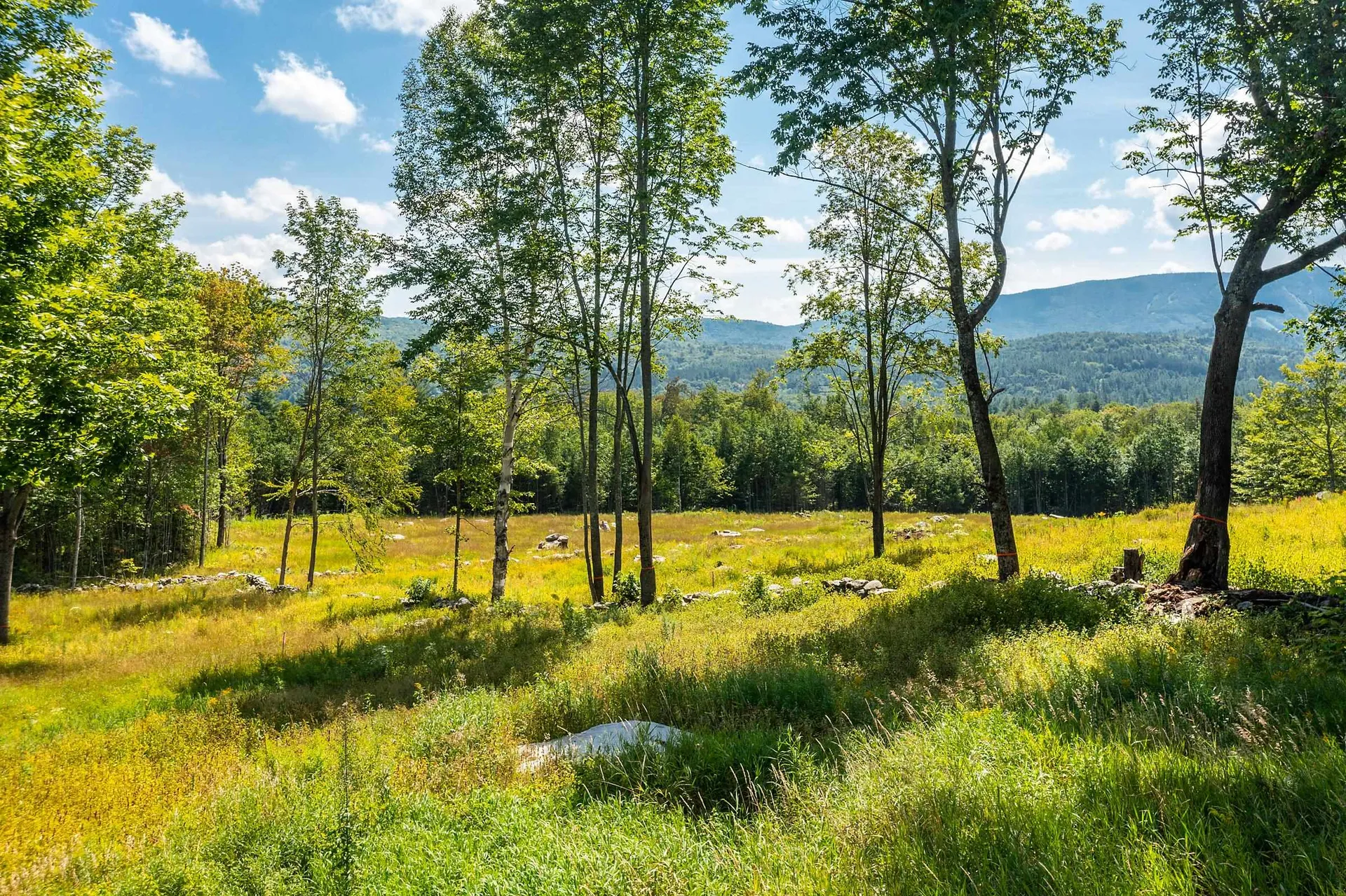 30 Hobart Road Londonderry VT 05148