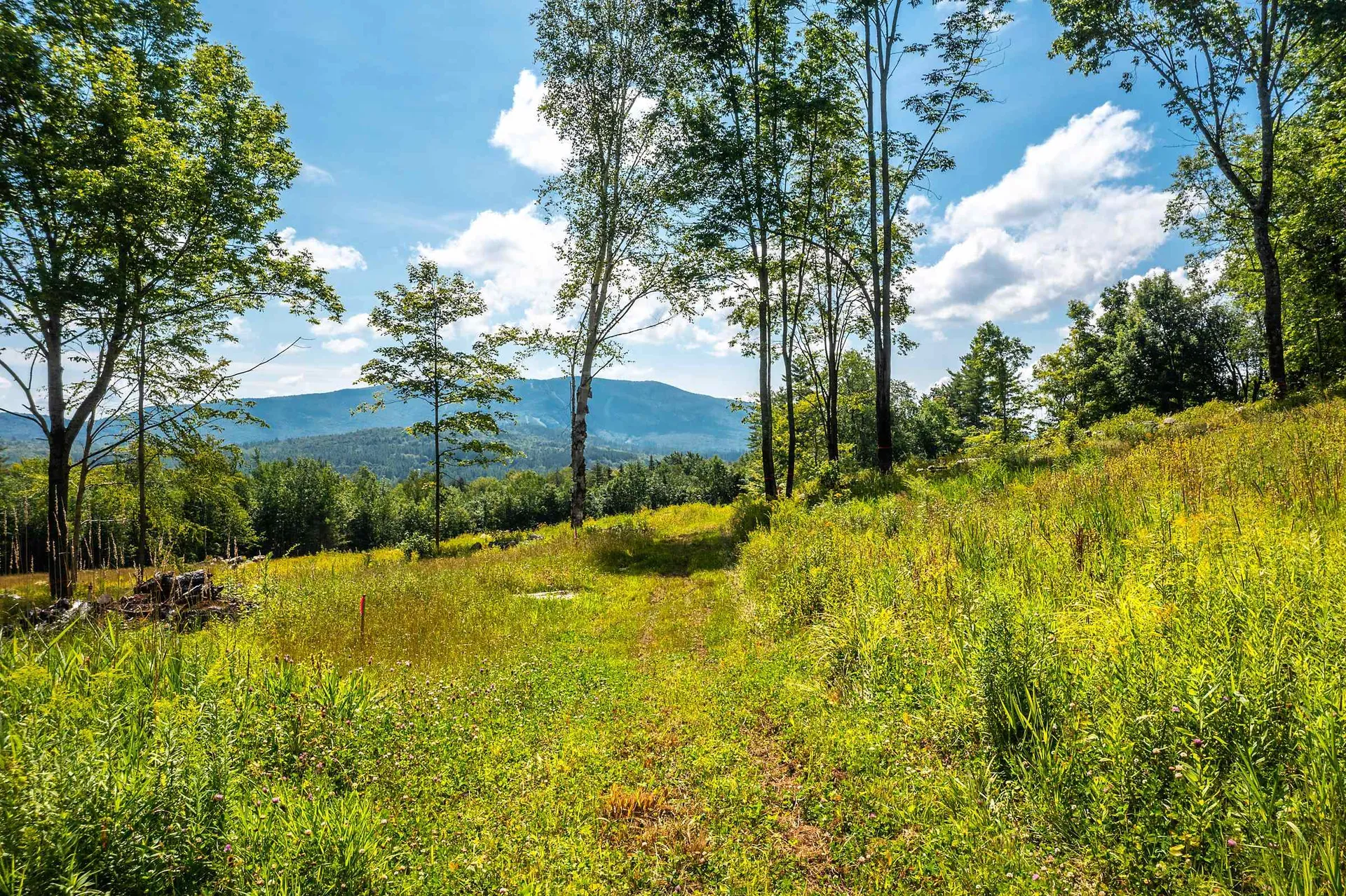 30 Hobart Road Londonderry VT 05148