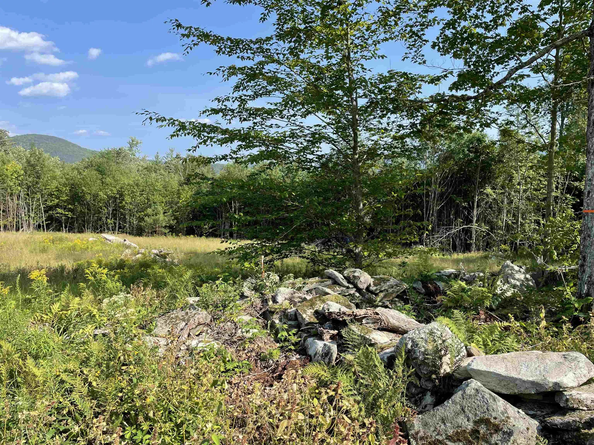 30 Hobart Road Londonderry VT 05148
