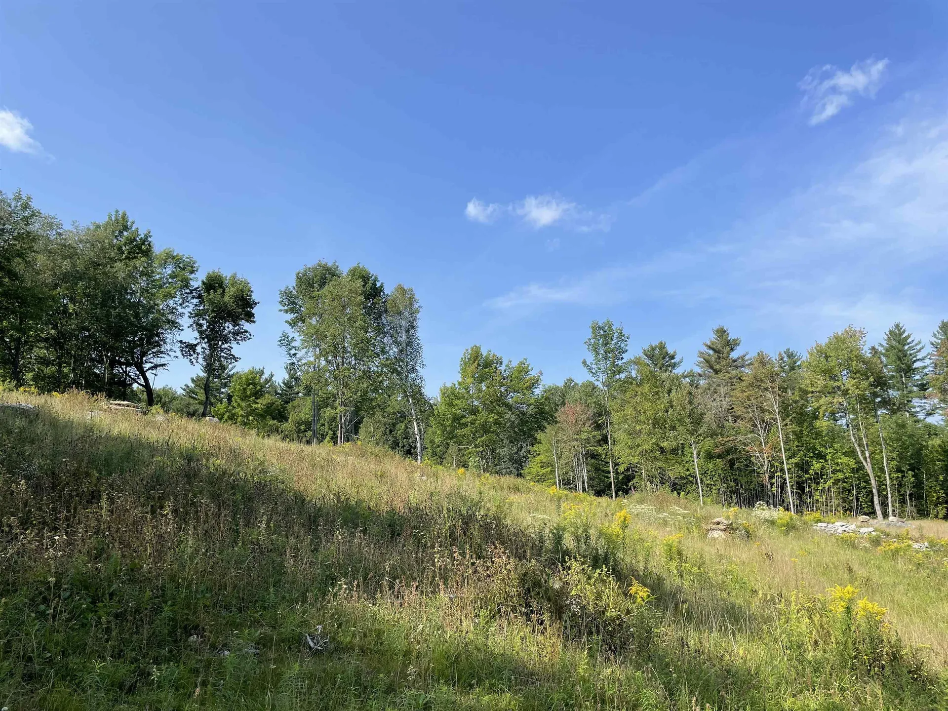 30 Hobart Road Londonderry VT 05148