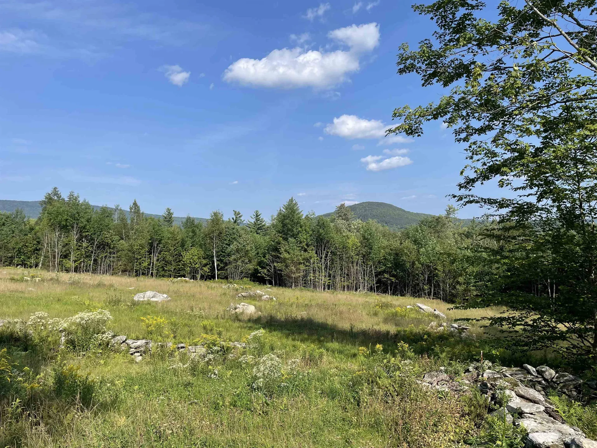 30 Hobart Road Londonderry VT 05148